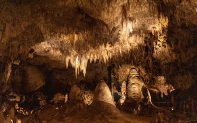 Carlsbad Caverns Report