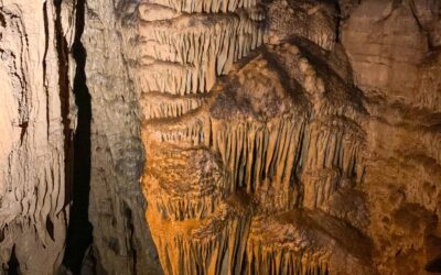 Mammoth Cave Trip Report