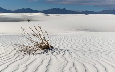 White Sands Trip Report